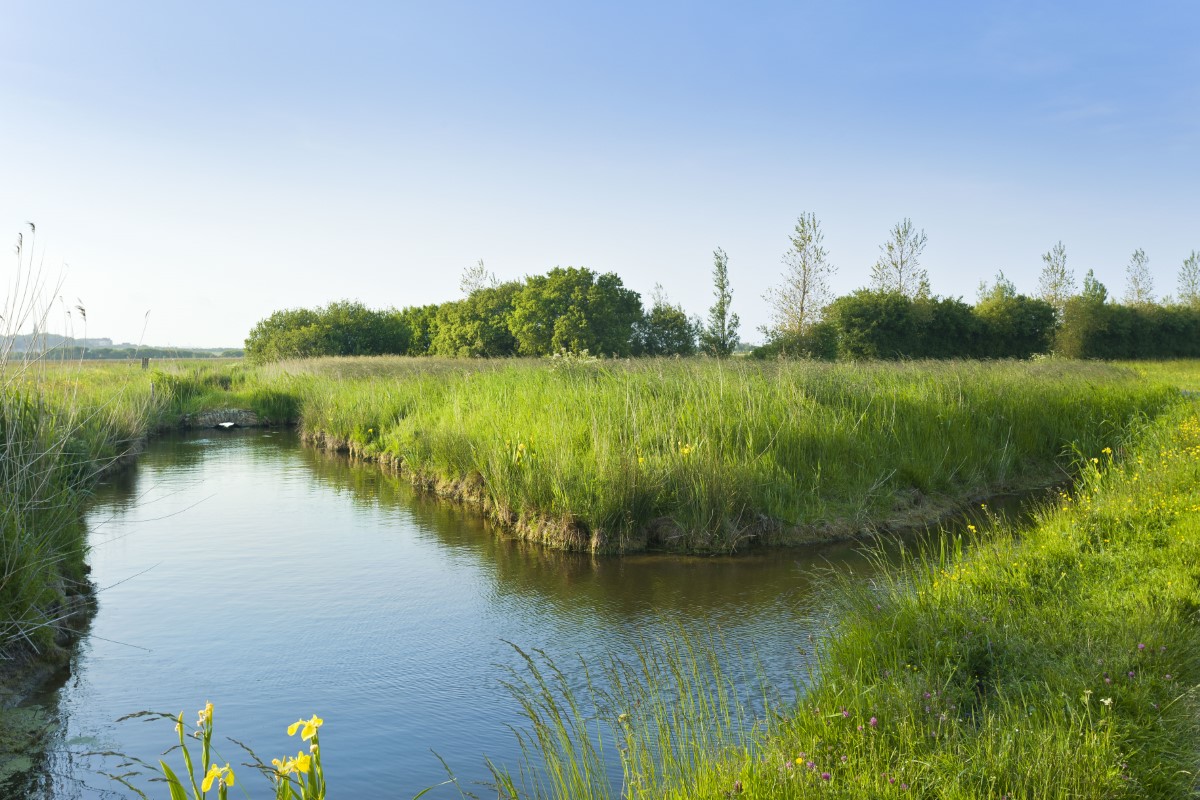 Havre de la Sinope, Quinéville - photo 5