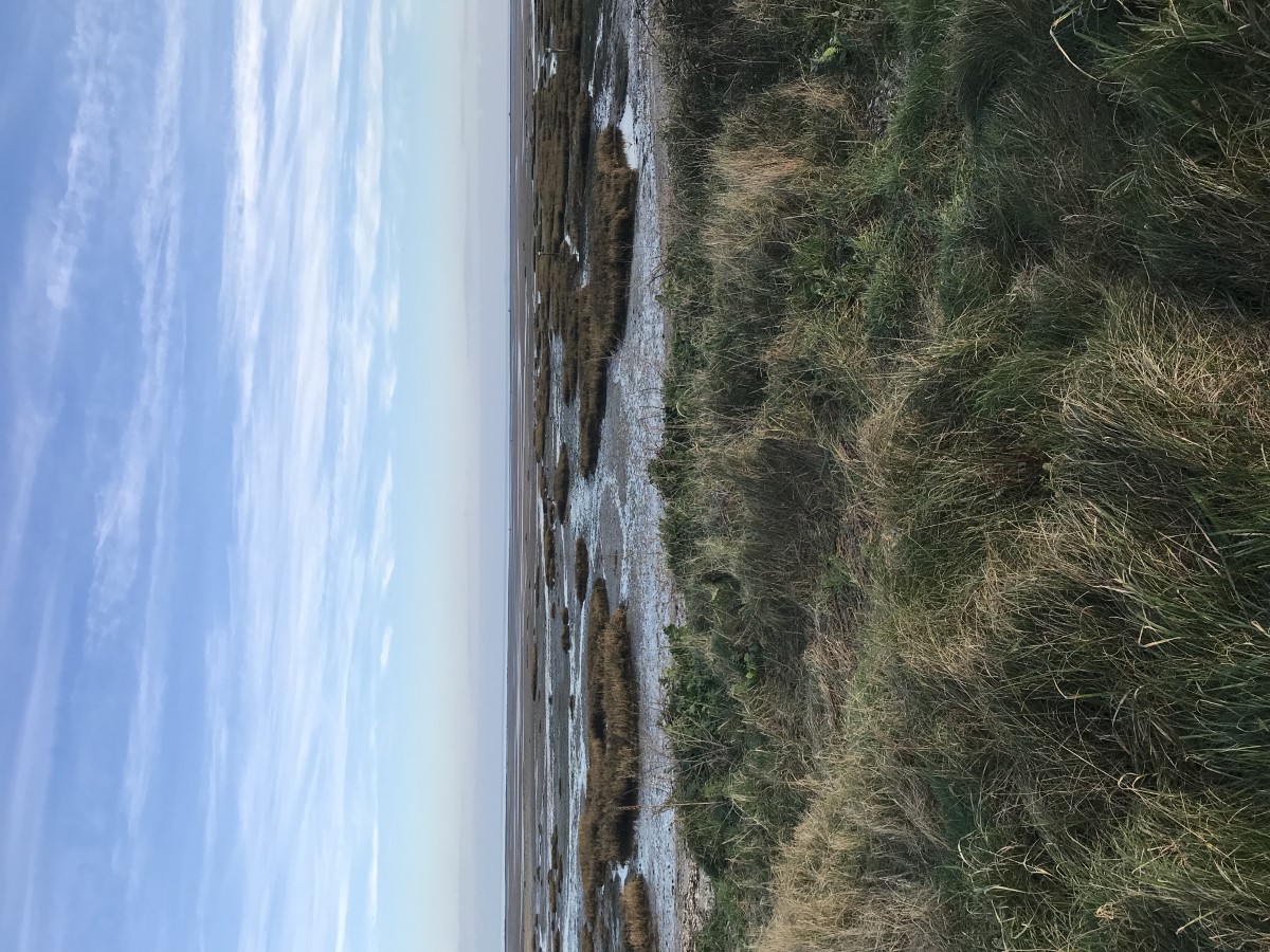 Havre de la Sinope, Quinéville