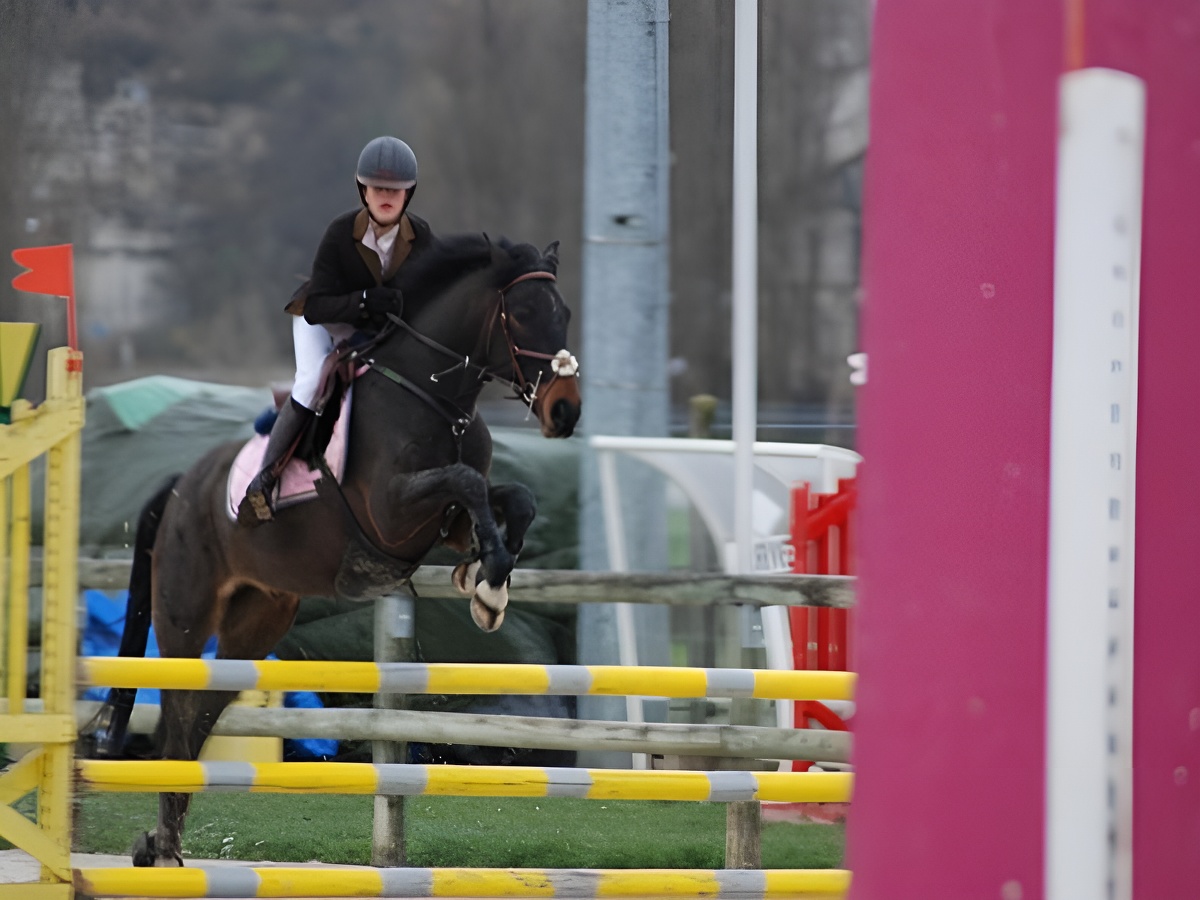 Renarderie Equitation, Noues de Sienne