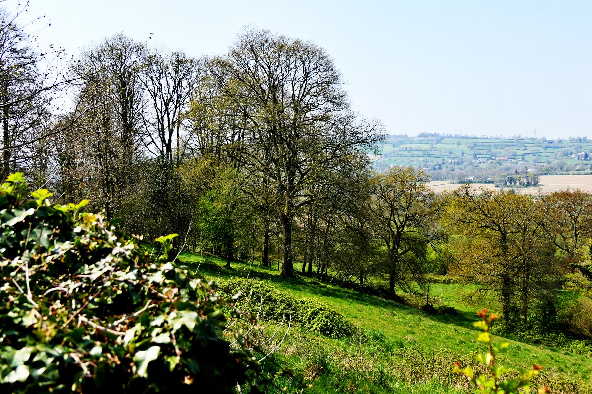 Les Chemins de Crête
