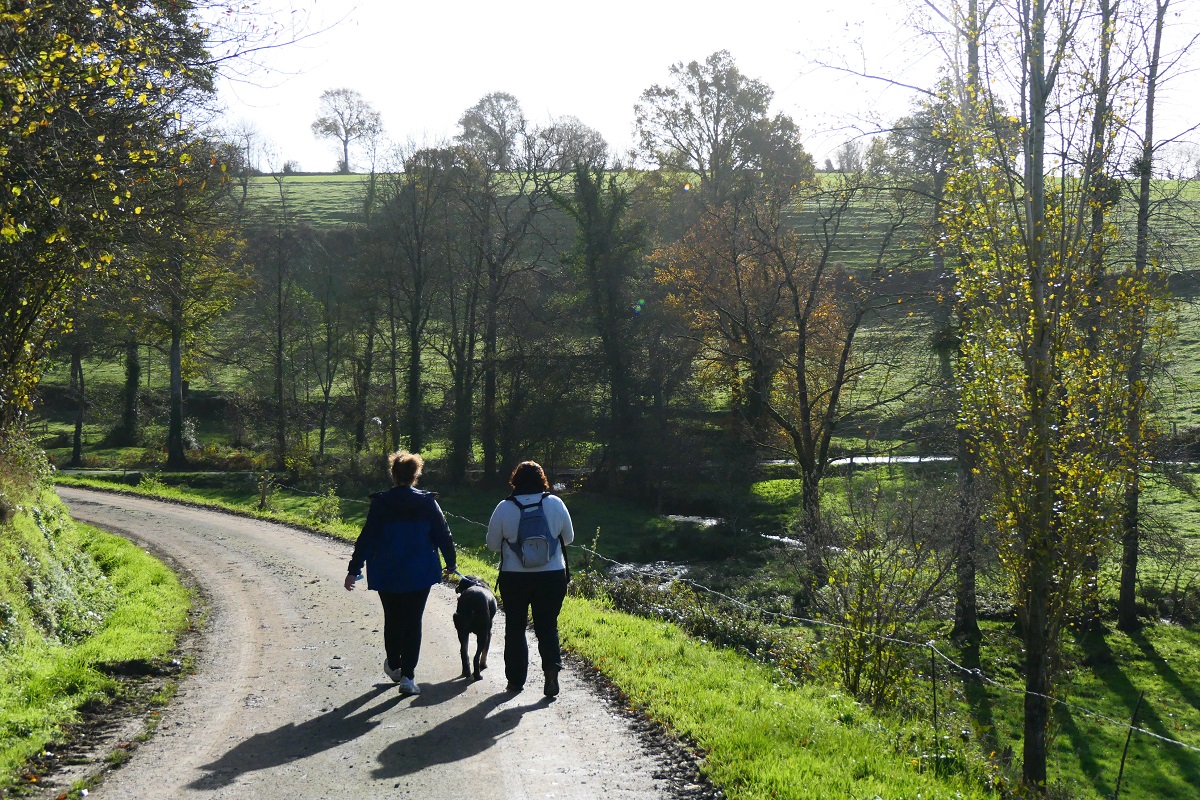 Le Circuit du Chefresne, Percy-en-Normandie
