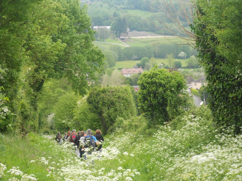 Image de la promenade