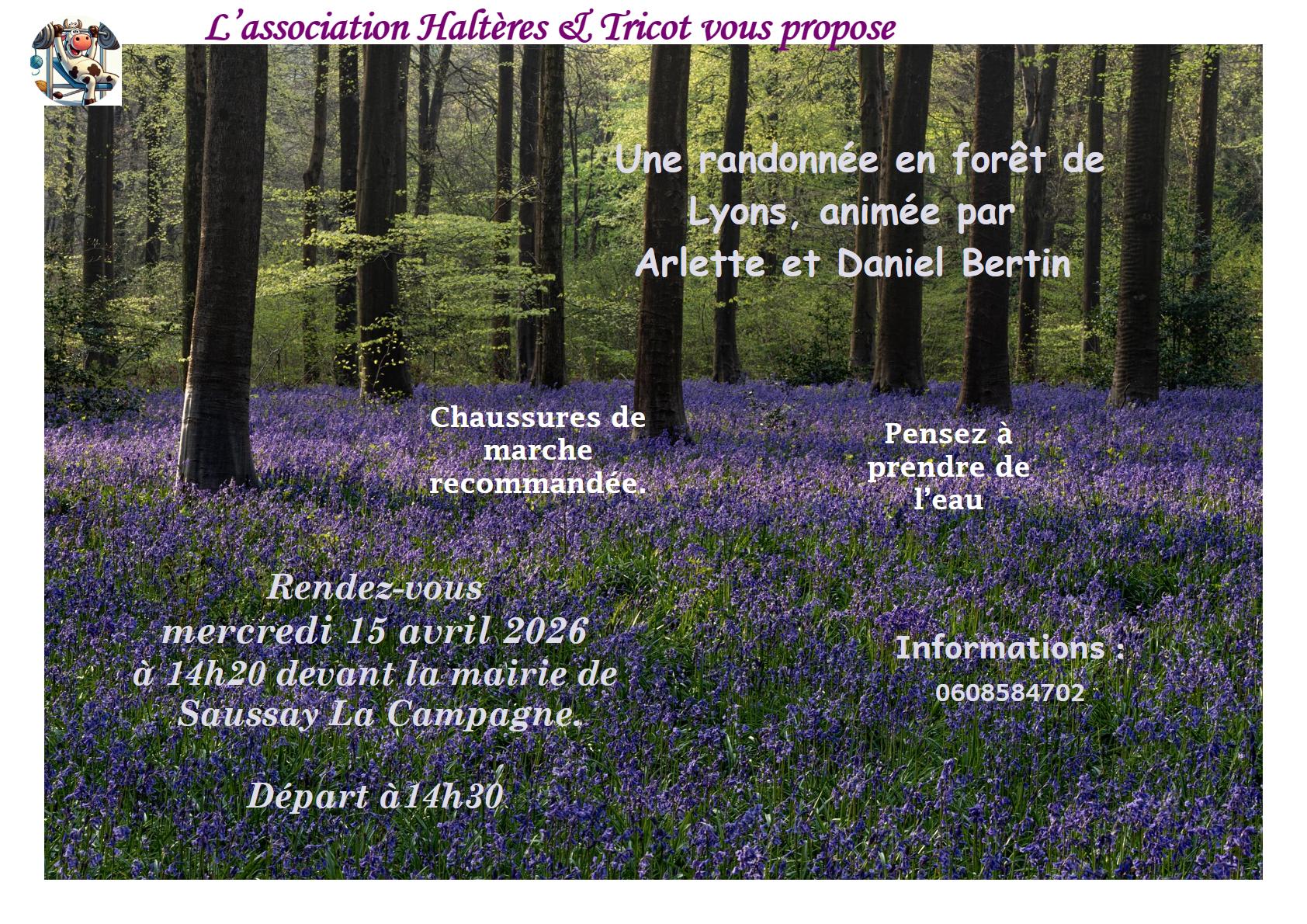 Randonnée en forêt de Lyons