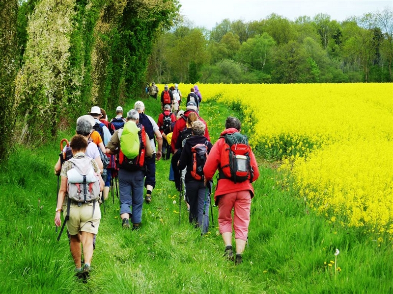 Randonnée accompagnée Friardel 10-12 kms