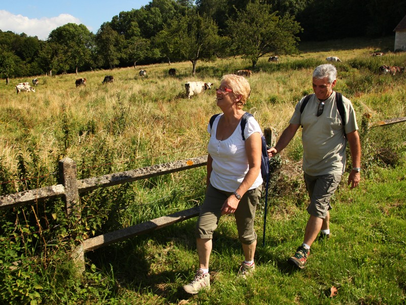 Image de la promenade