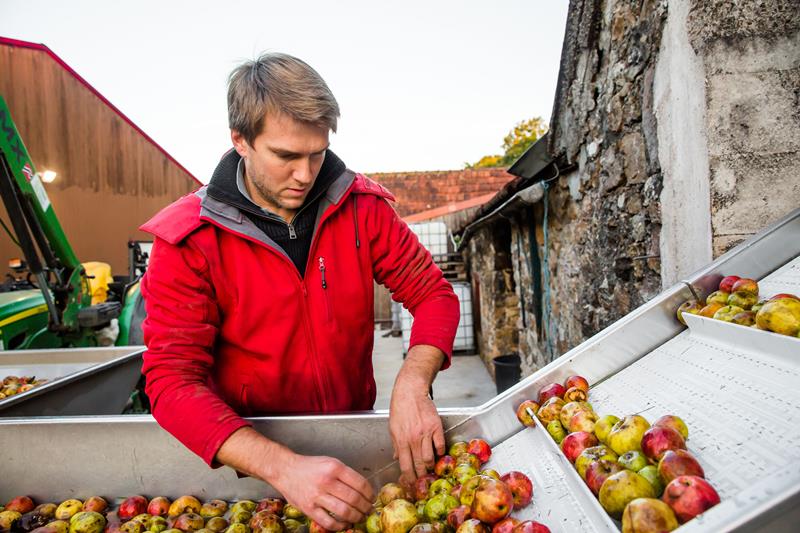 Cidrerie Les Vergers de la Passion, Rauville-la-Bigot - photo 14