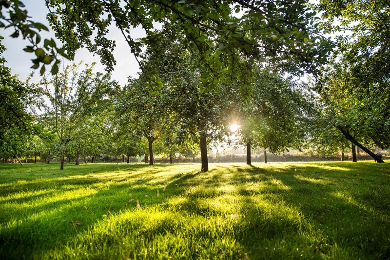 Cidrerie Les Vergers de la Passion, Rauville-la-Bigot - photo 17