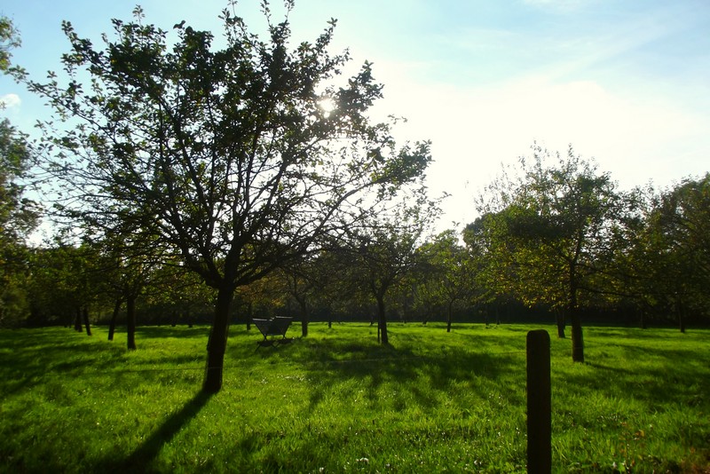 Cidrerie Les Vergers de la Passion, Rauville-la-Bigot