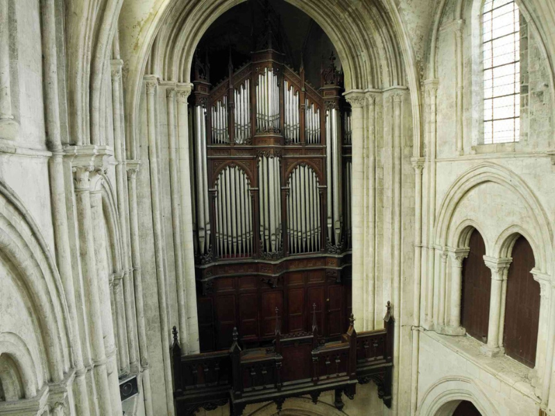 Pierres en Lumières - Restauration de la cathédrale, l'orgue