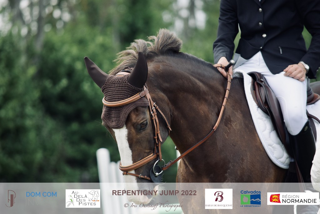 Repentigny Jump