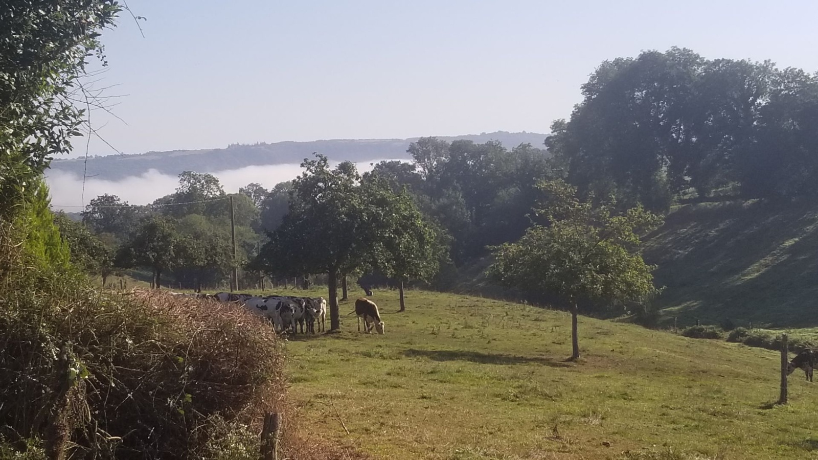 Gîte Les Volets Bleus, La Villette - photo 2