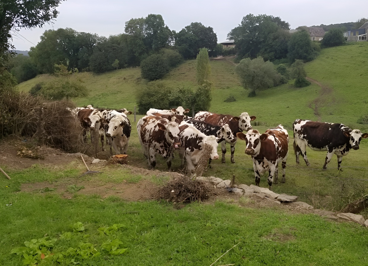 Gîte Les Volets Bleus, La Villette - photo 11