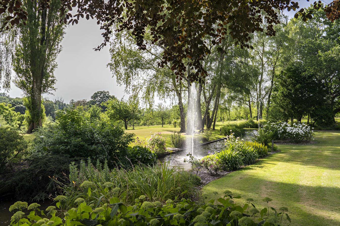 Le Capucine, Pennedepie