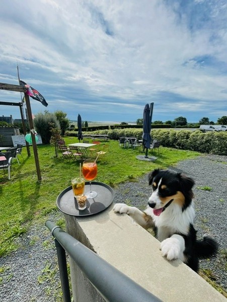 L'Extravagant...e, Tourville-sur-Sienne