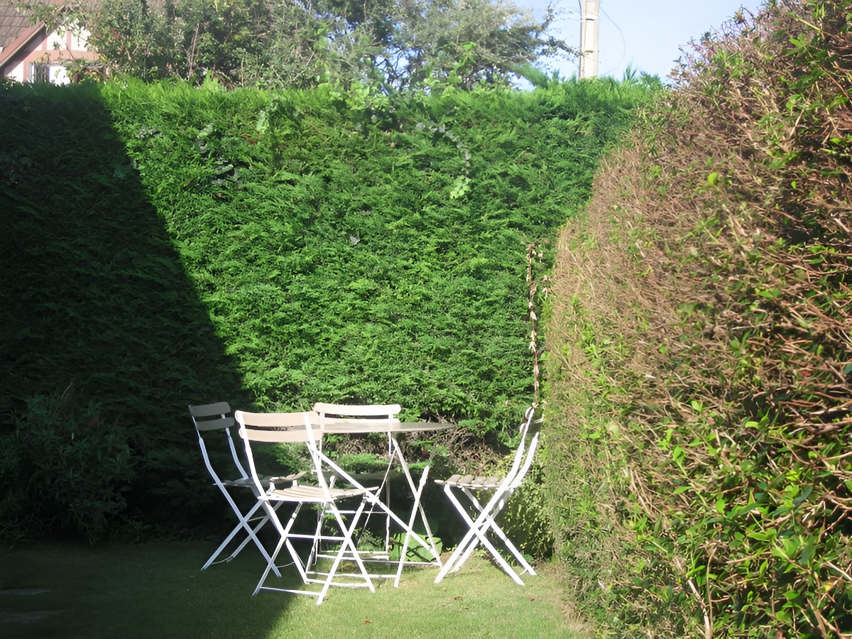 Les Micha, Ouistreham - photo 4