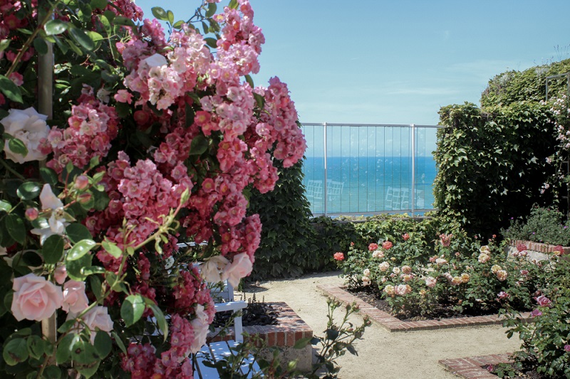 Jardin Public Christian Dior, Granville - photo 2