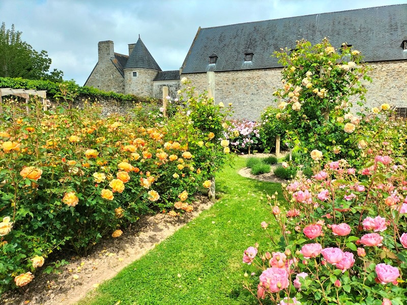 Roseraie "David Austin" du Château de Montfort, Remilly Les Marais - photo 3