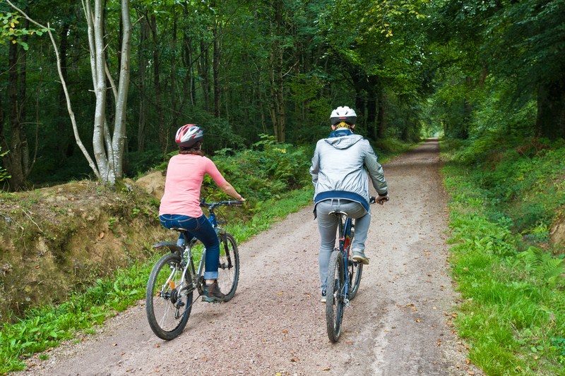 Location de vélos > Espace VTT-FFCT