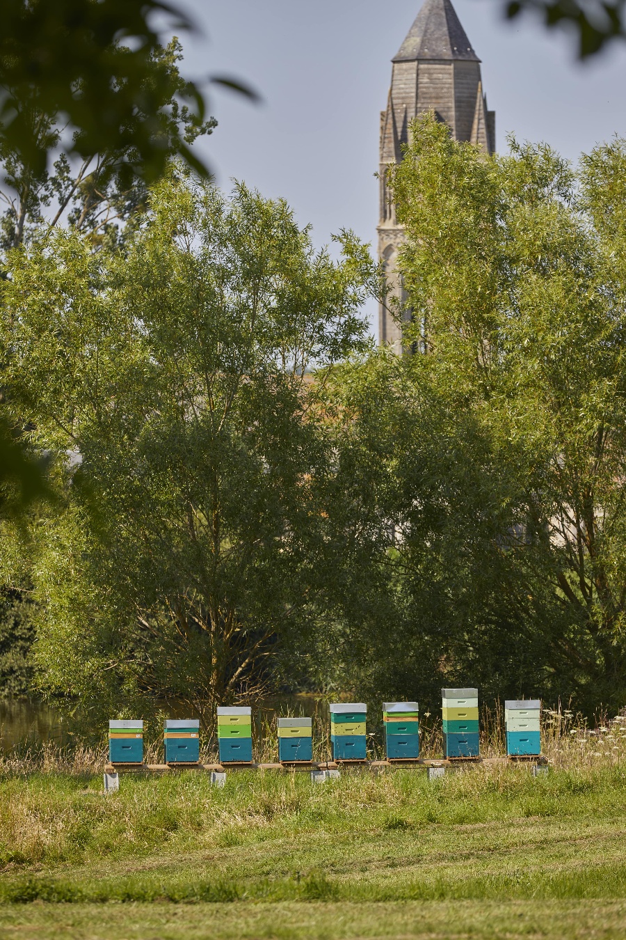 Château d'Audrieu, Audrieu - photo 8