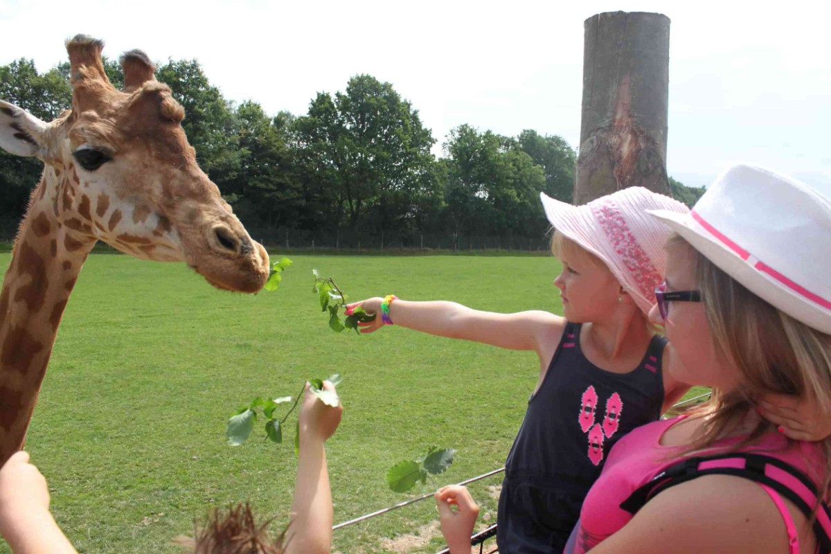 Parc Zoologique Cerza, Hermival-les-Vaux - photo 15
