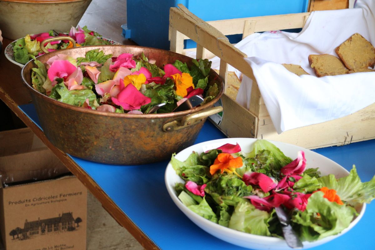 Ateliers cuisine à la Ferme de la Motte