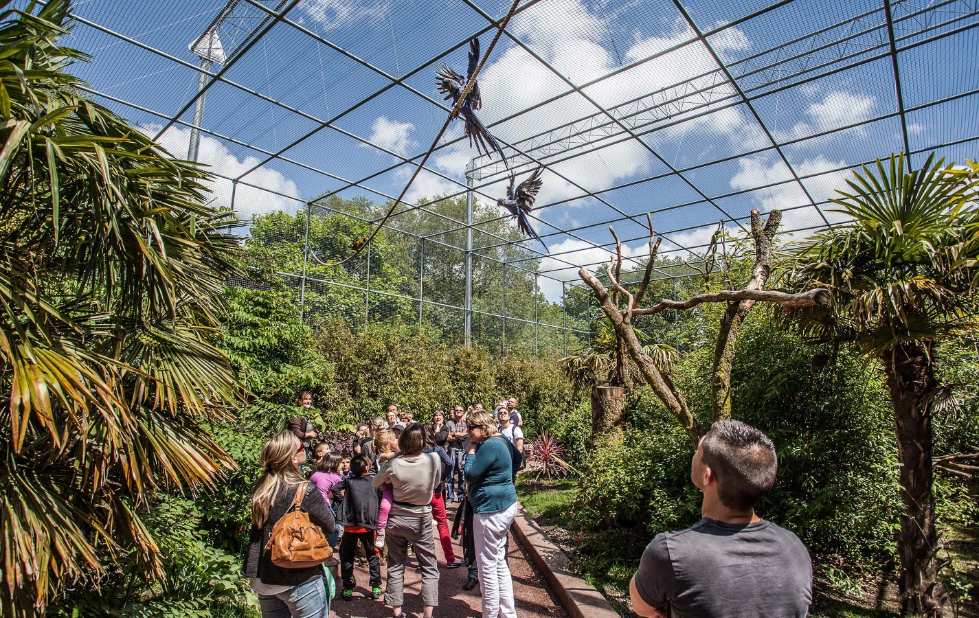 Zoo de Jurques, Dialan sur Chaîne - photo 7