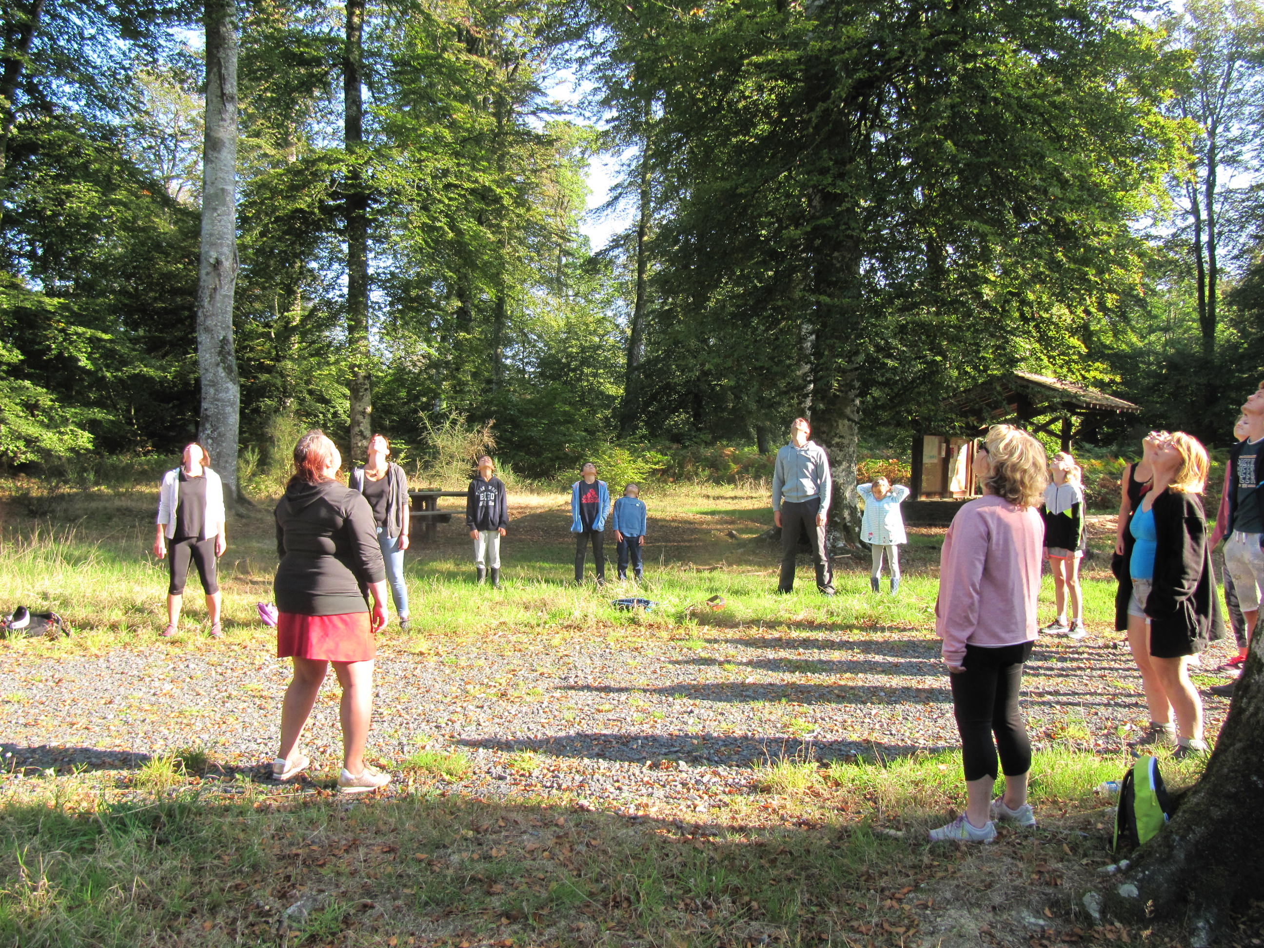 Secrets de nature : bota sophro en forêt Cerisy