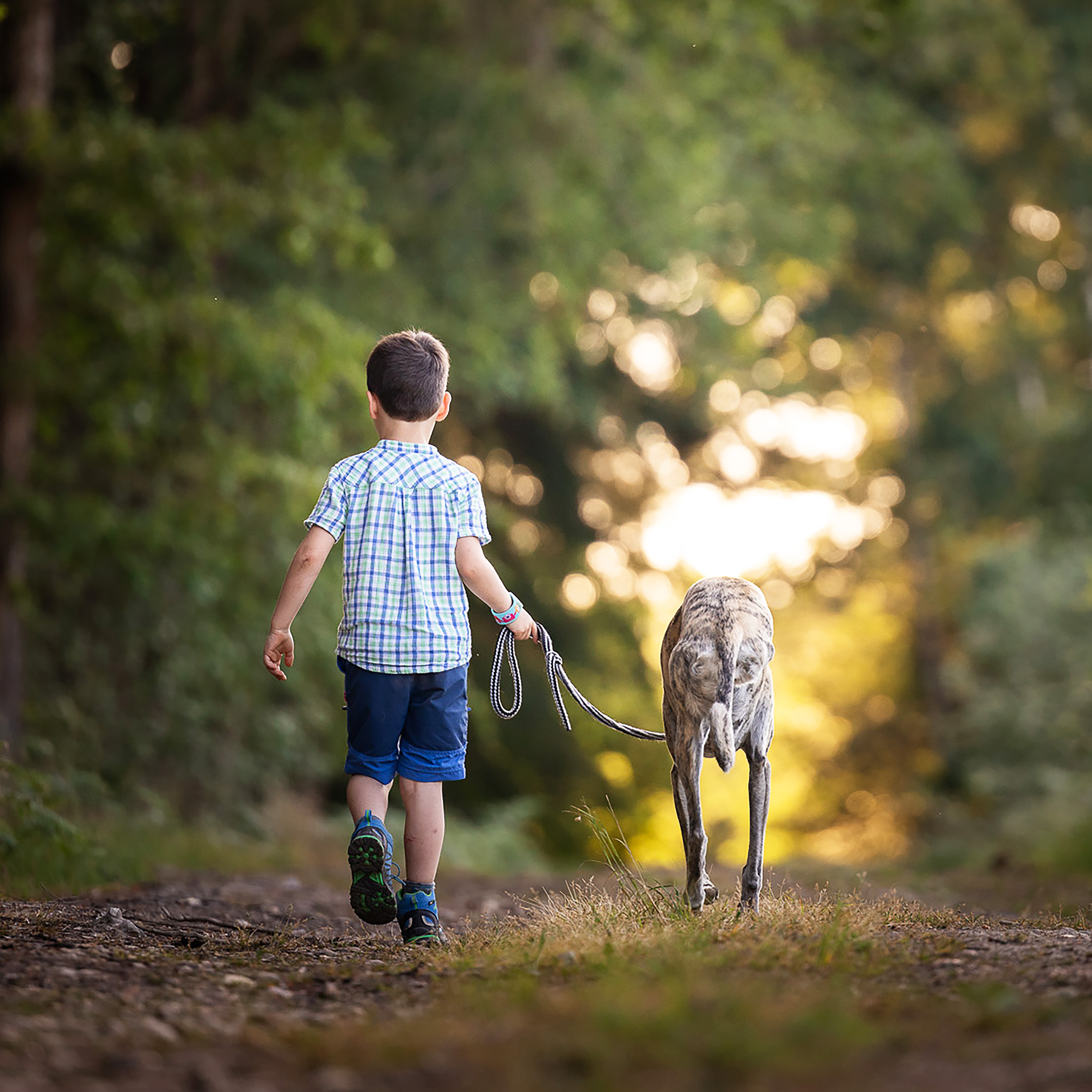 Rencontre avec Sparow