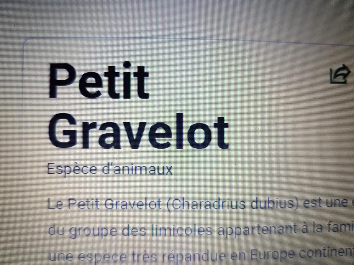 Meublé de tourisme > Les Gravelots, Saint-Vaast-la-Hougue - photo 11