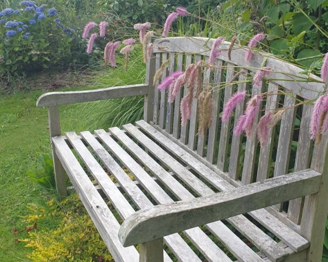 Le Jardin Habité de Saint Georges