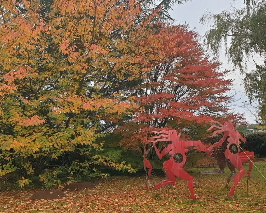 Le Jardin Habité de Saint Georges, Saint-Georges-de-Rouelley - photo 2