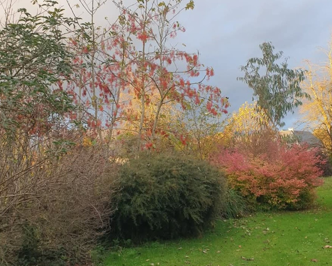 Le Jardin Habité de Saint Georges, Saint-Georges-de-Rouelley - photo 5