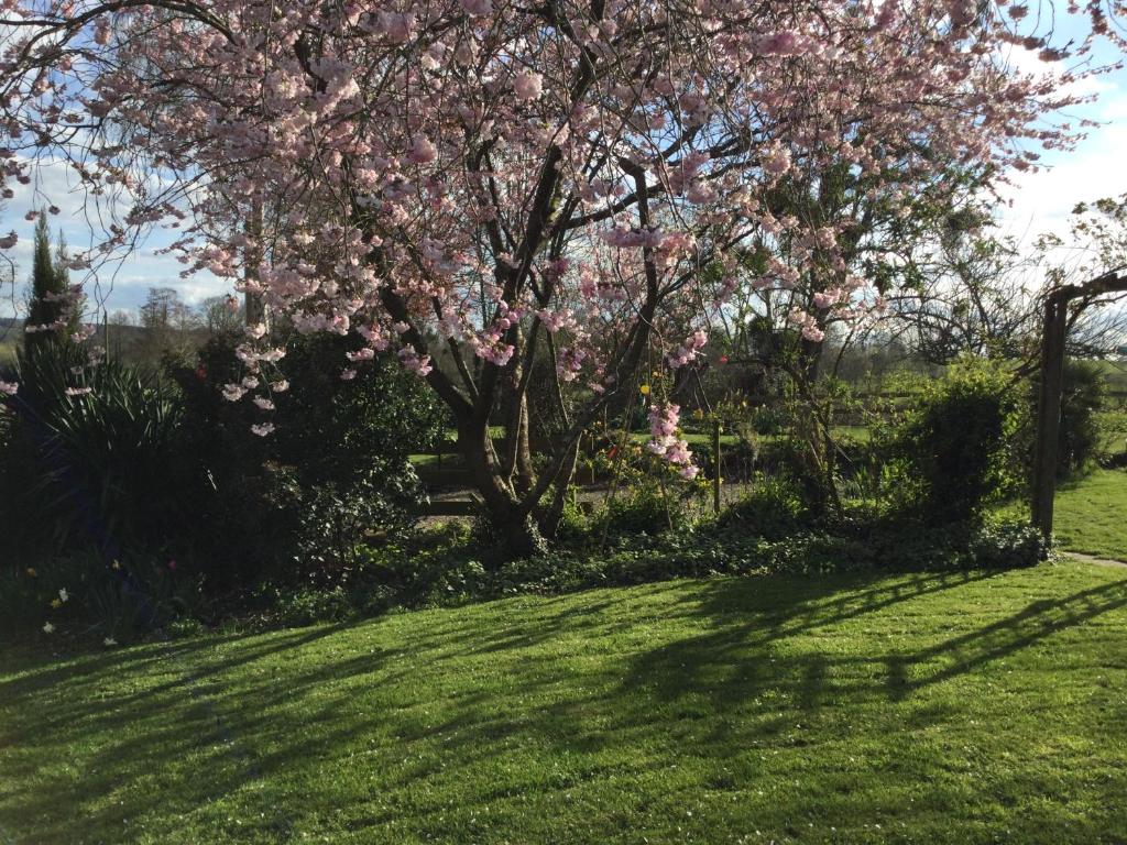 Meublé de tourisme > Le Cottage Normand, Saint-James - photo 4