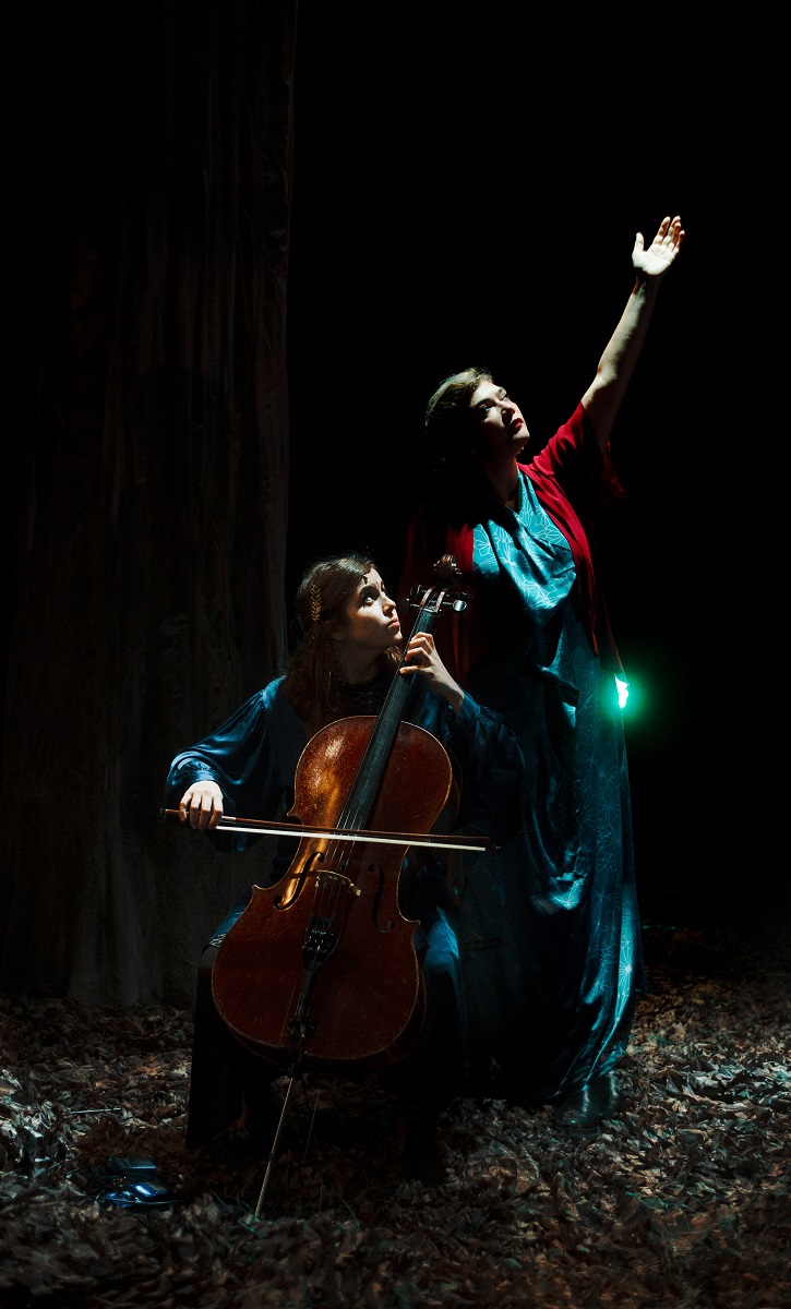 Saison Culturelle > Concert "Birds on a Wire"