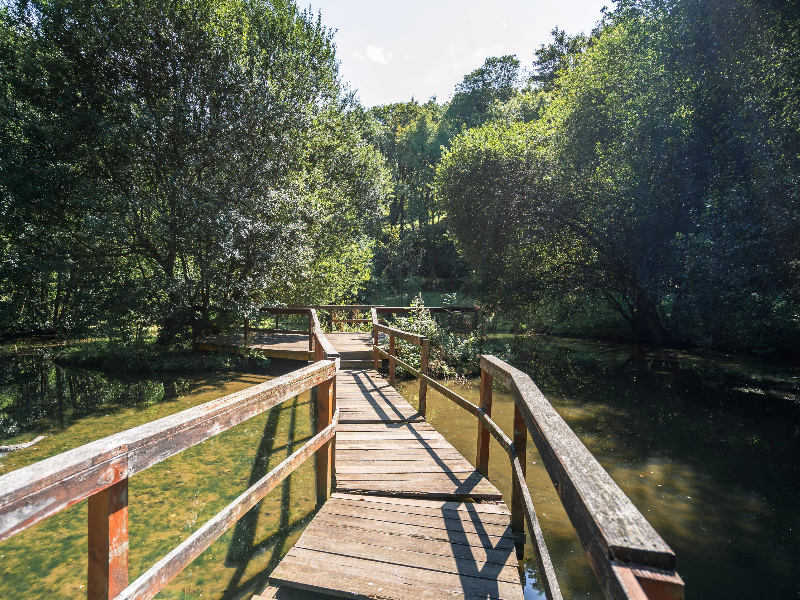 Parc du Vallon de la Dollée, Saint-Lô - photo 3