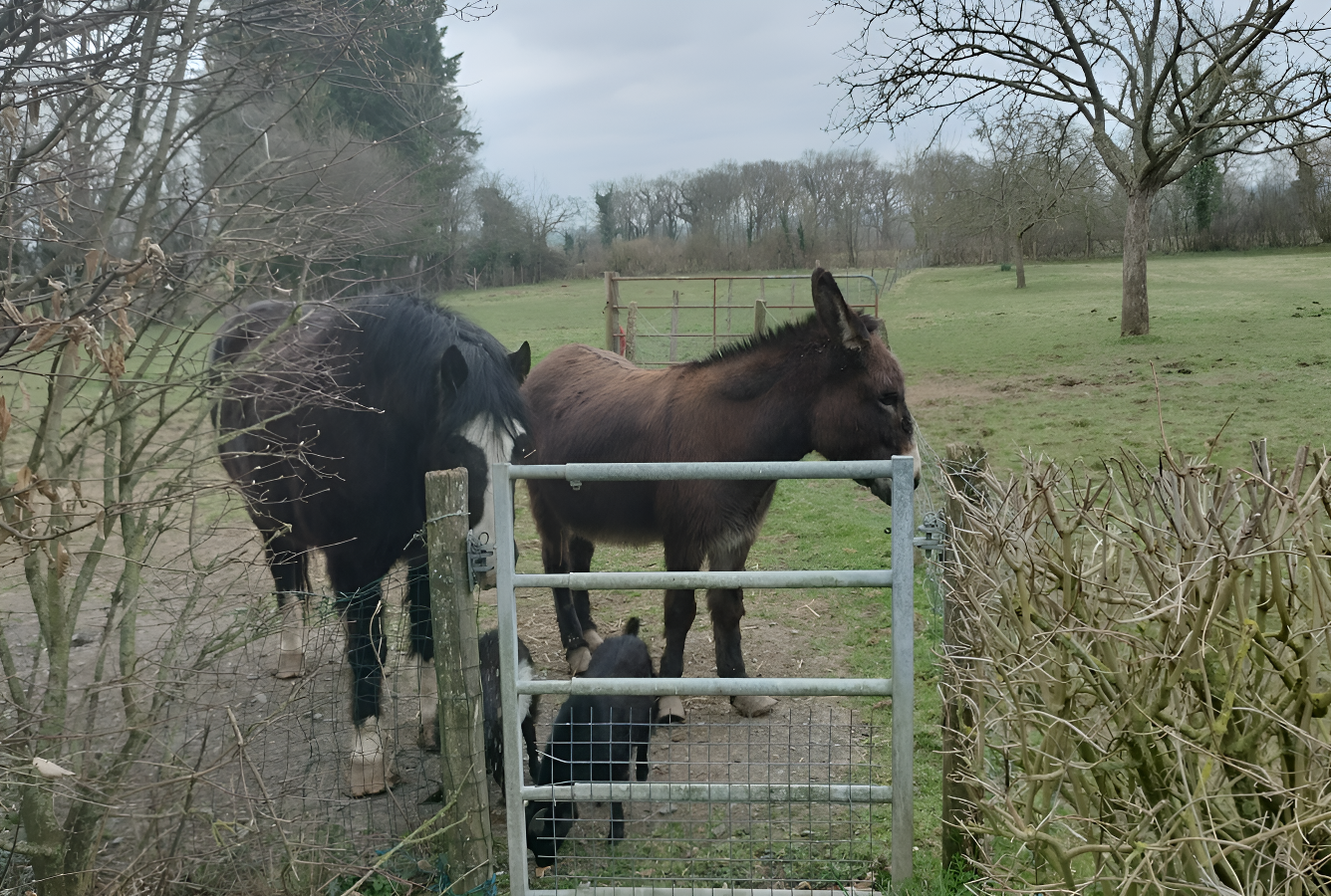 Le Clos des pommiers, Tracy-sur-Mer - photo 22