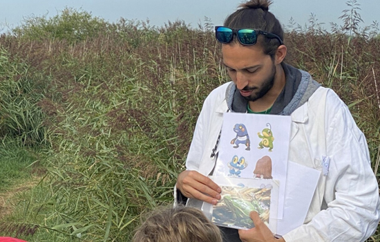 Mercredi nature de l'été : Les Pokémon de l'estuaire
