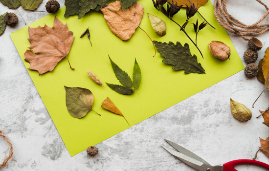 Atelier famille : Collage des feuilles d’automne