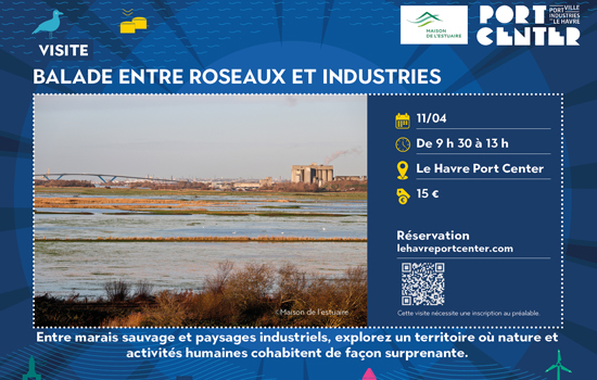Visite guidée : Balade - Entre roseaux et industries