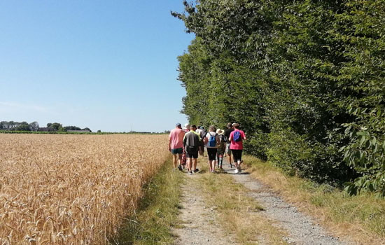 Rando agricole