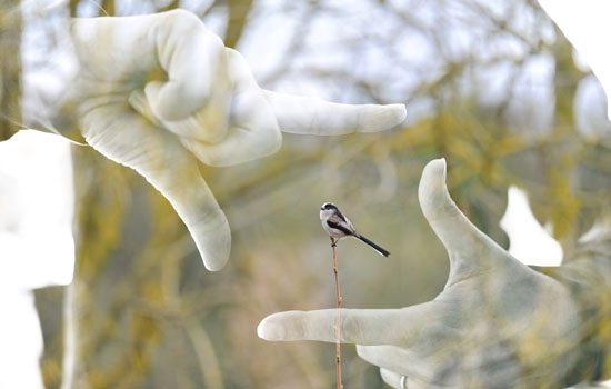 Exposition : 365 jours – Photographies de Sébastien Boullier