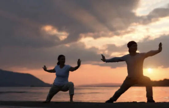 Atelier : Tai chi, Qi Gong & méditation vibratoire