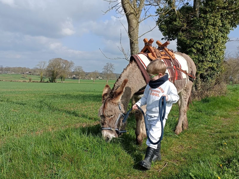 Balade avec les ânes - Florence Mallet