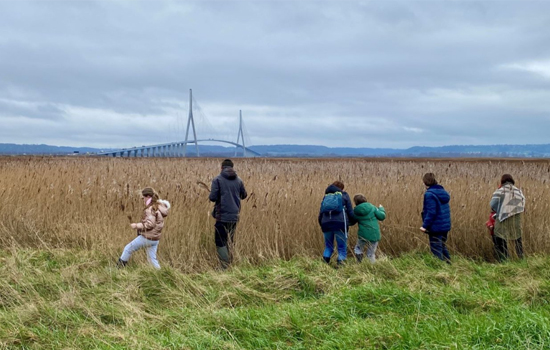 Mercredi Nature : Ça bouge dans l'estuaire !