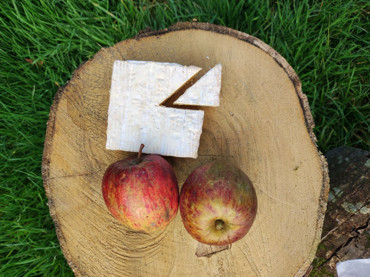 Ferme du Bienheureux - GAEC Cahorel