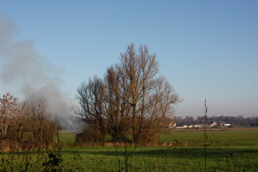 Promenade du CAUE "des arbres conteurs", Picauville - photo 3