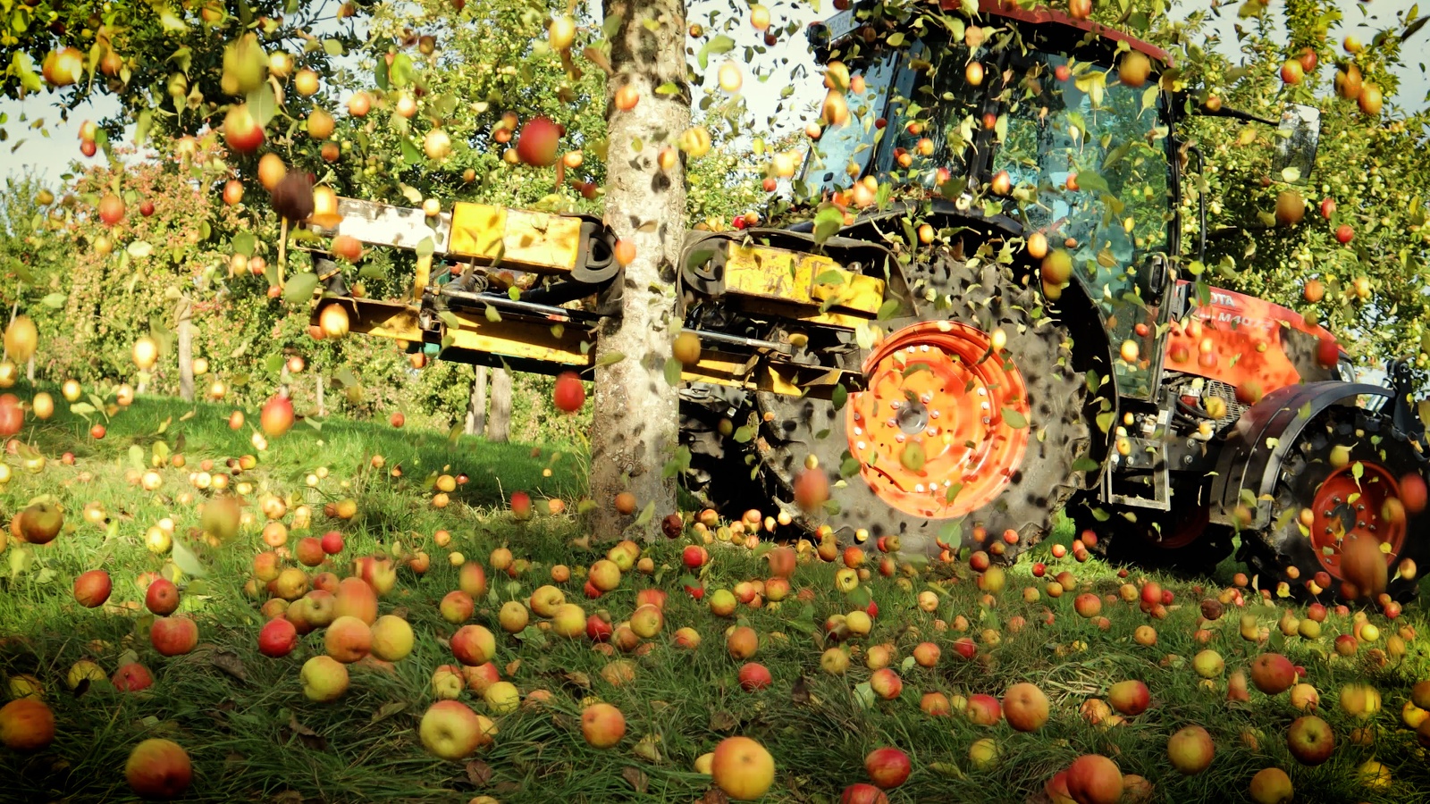 Cave de la Loterie  - Cidrerie de la Suisse-Normande, Le Bô - photo 7