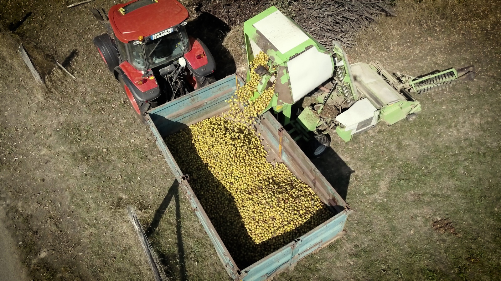 Cave de la Loterie  - Cidrerie de la Suisse-Normande, Le Bô - photo 2