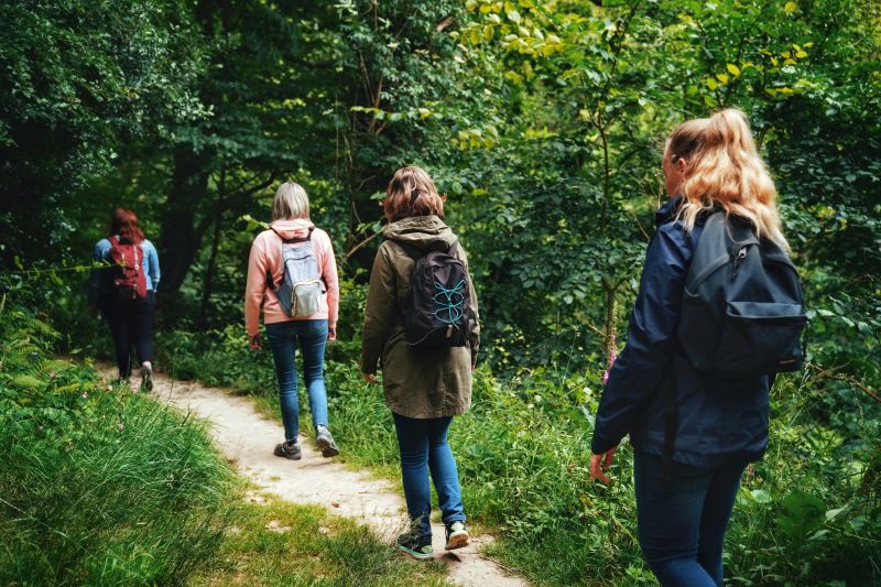 Expérience de Destination : J’éveille mes sens au cœur de la Forêt de la Lucerne
