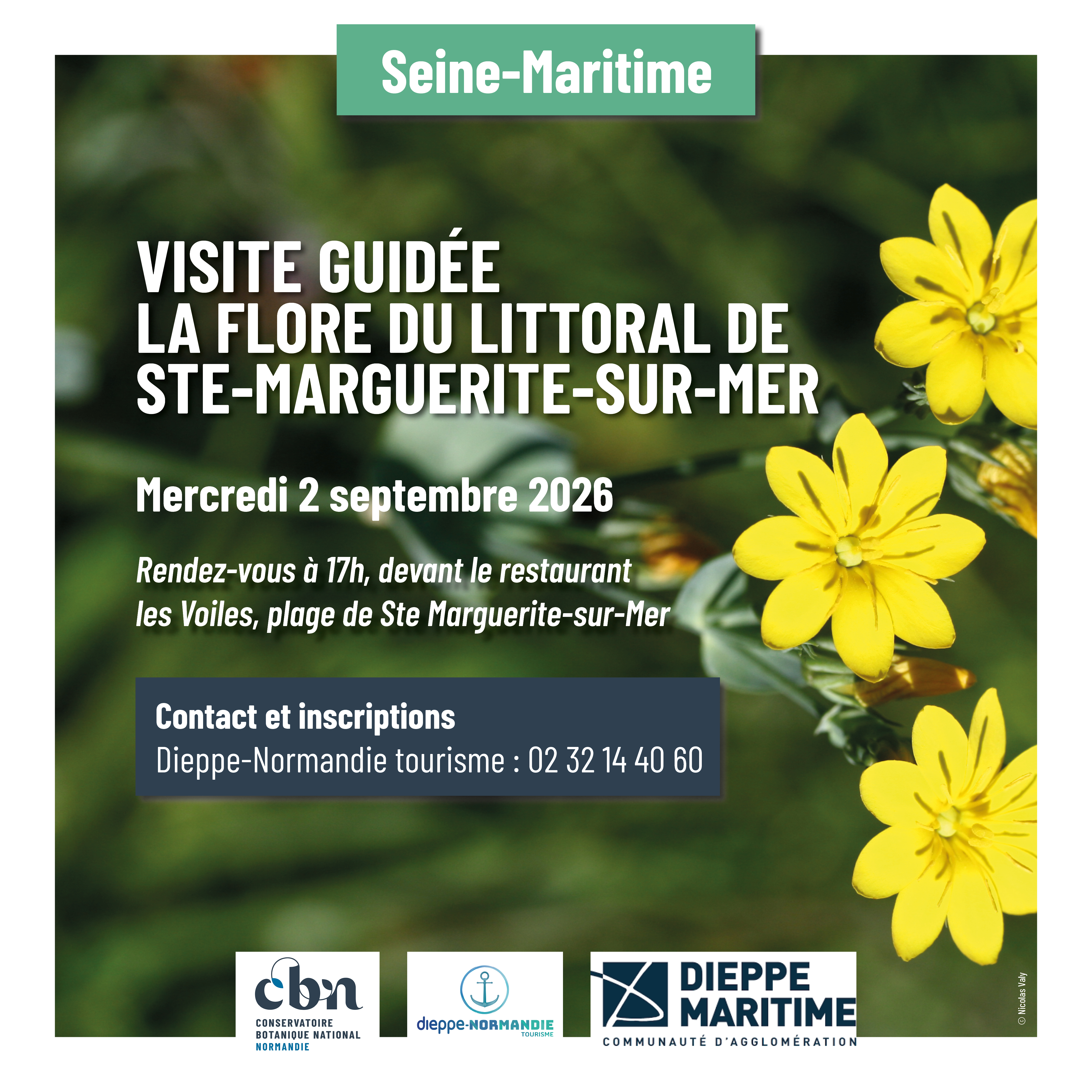 [Balade natualiste] La flore du littoral de Sainte-Marguerite-sur-Mer